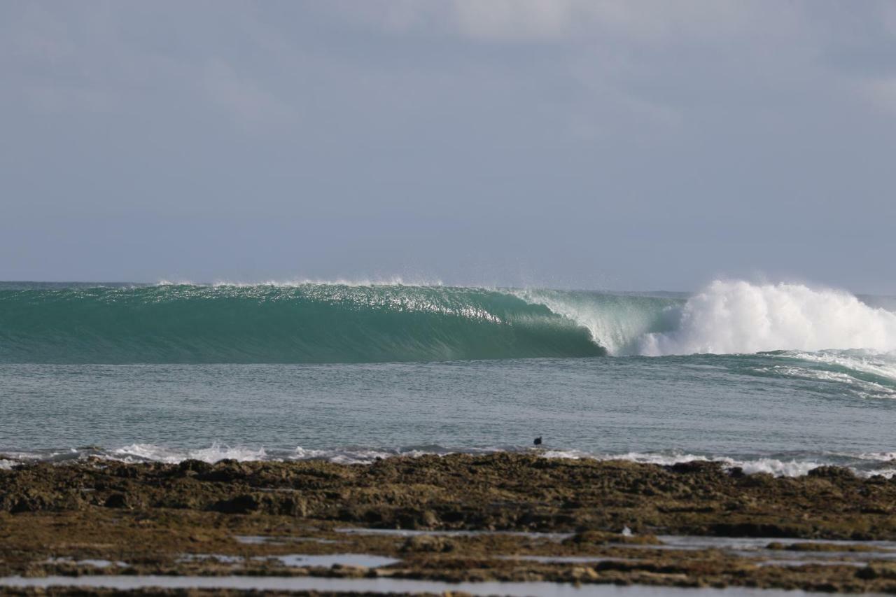 Oseda Nias Surf House Hotel Hilibotodane Exterior foto